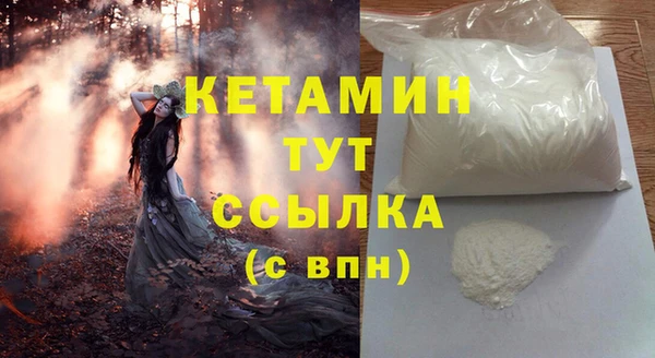 гидра Нестеровская