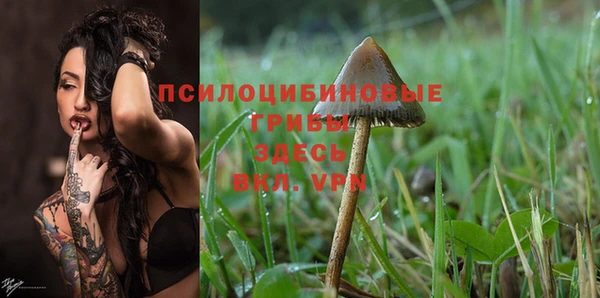 МДПВ Абдулино