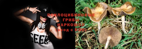 прущие крисы Абаза